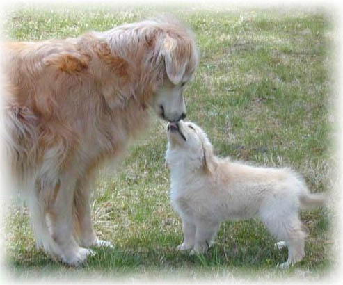 seamus and kim photo