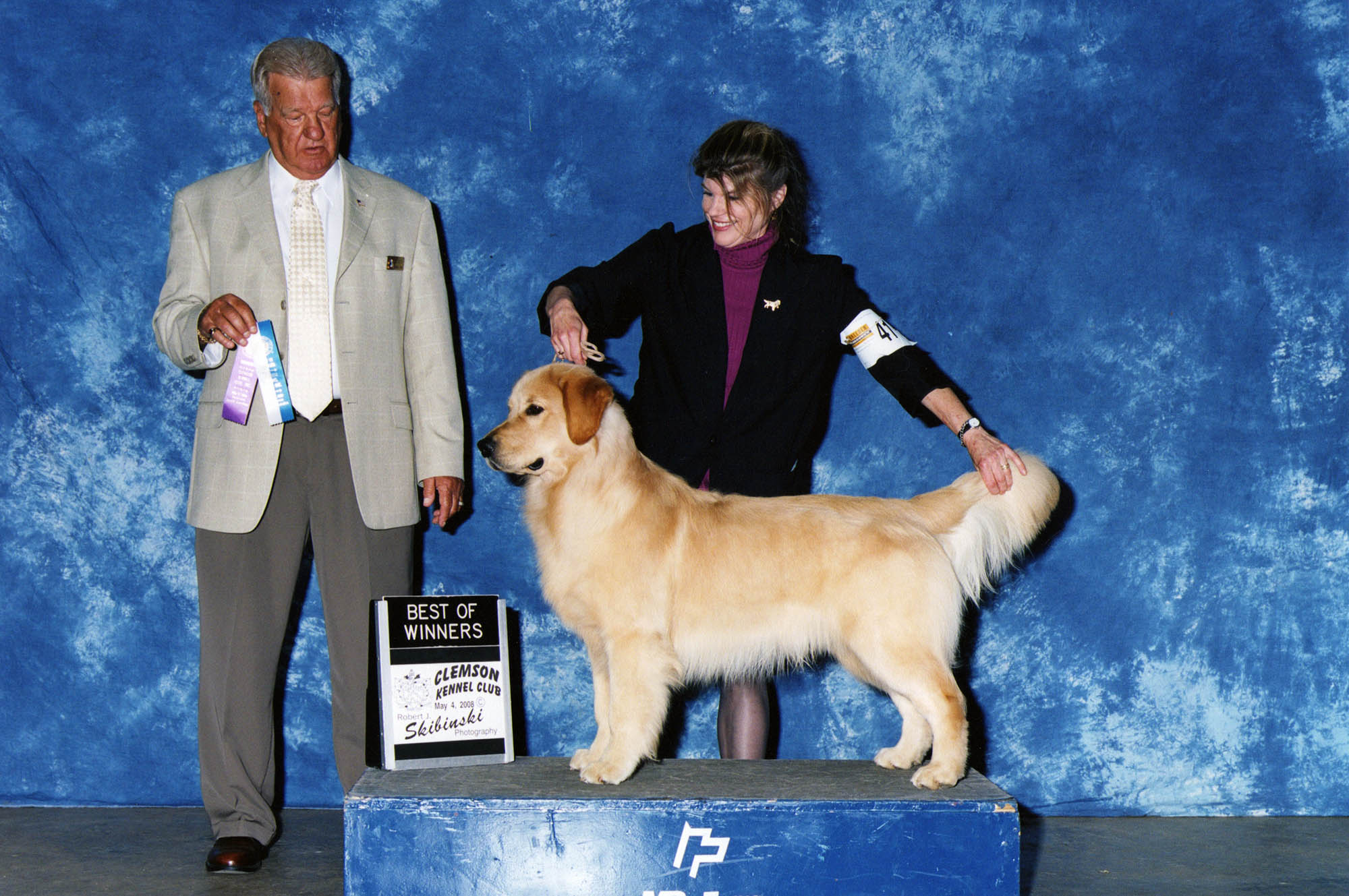 k-jen golden retrievers north carolina slide 4