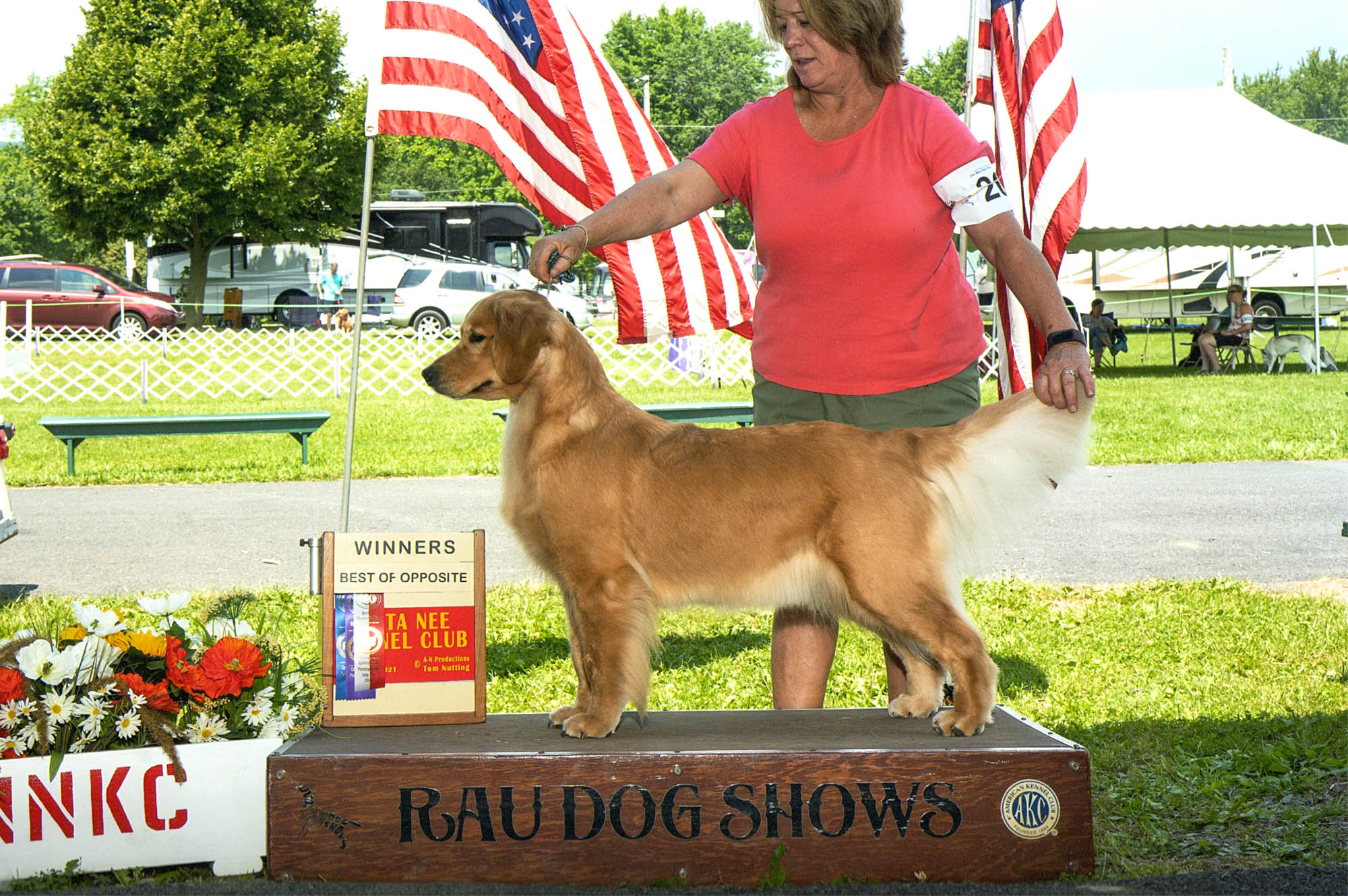 k-jen golden retrievers north carolina slide 8