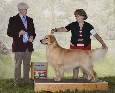 CH K-Jen's N Charms Tis My Favorite Cappuccino Blend cappy winners dog