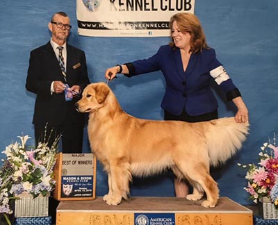 CH K-Jen's N Charms Tis My Favorite Cappuccino Blend cappy winners dog