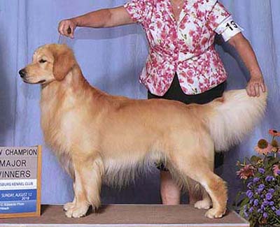 CH K-Jen's N Charms Tis My Favorite Cappuccino Blend cappy winners dog new champion