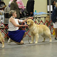 baiting spartanburg kc