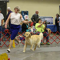 gaiting spartanburg kc