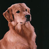 liam head shot 6 months old